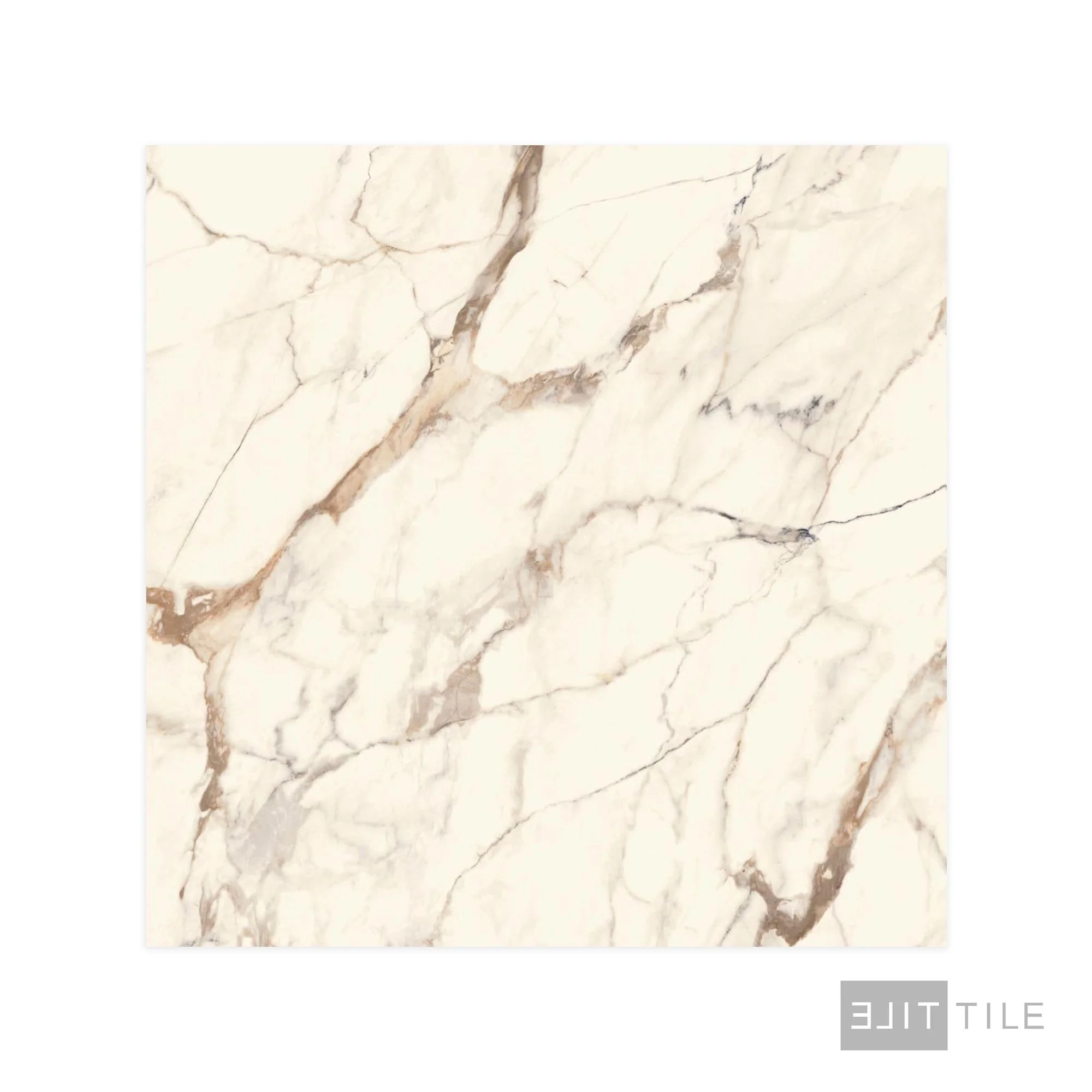 Calacatta Polished 47X47 Gold - Image 3