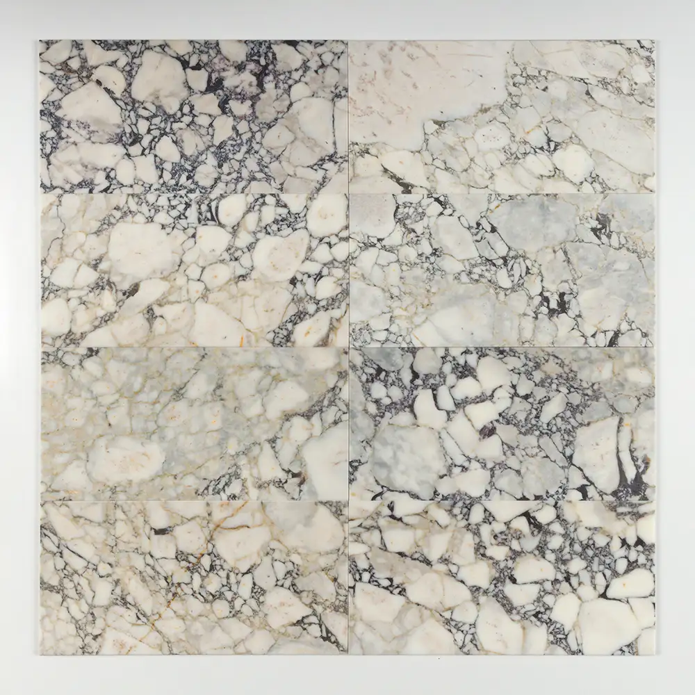 Calacatta Picasso Marble 12X24 Calacatta Picasso Polished