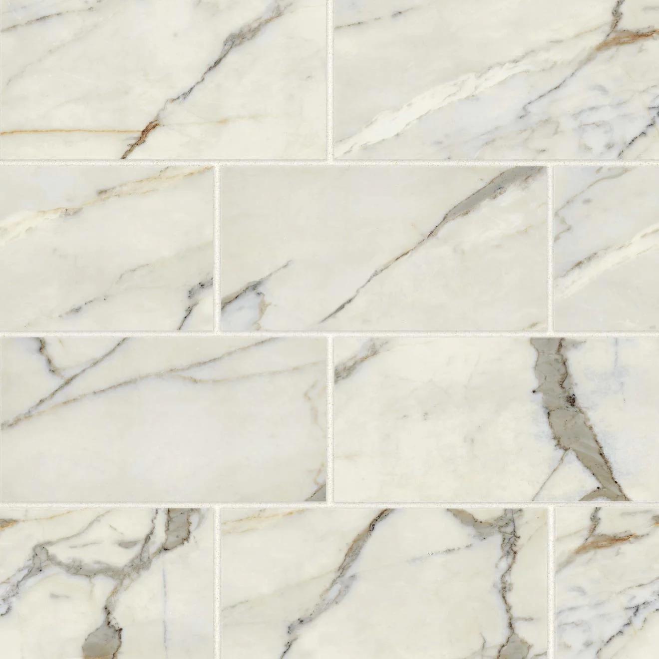 Classic 2.0 Matte 12X24 Calacatta Oro