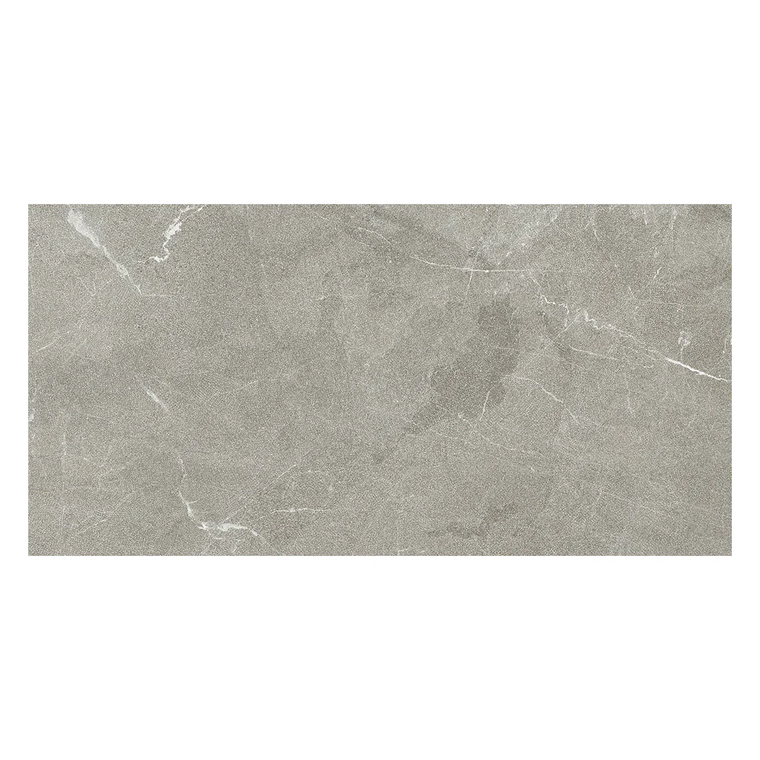 Continuum 12X24 Greige Natural - Image 2