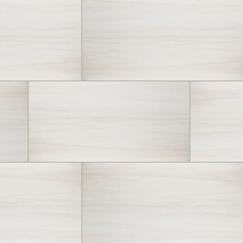 Eden Porcelain Field Tile 24X48 Dolomite Polished