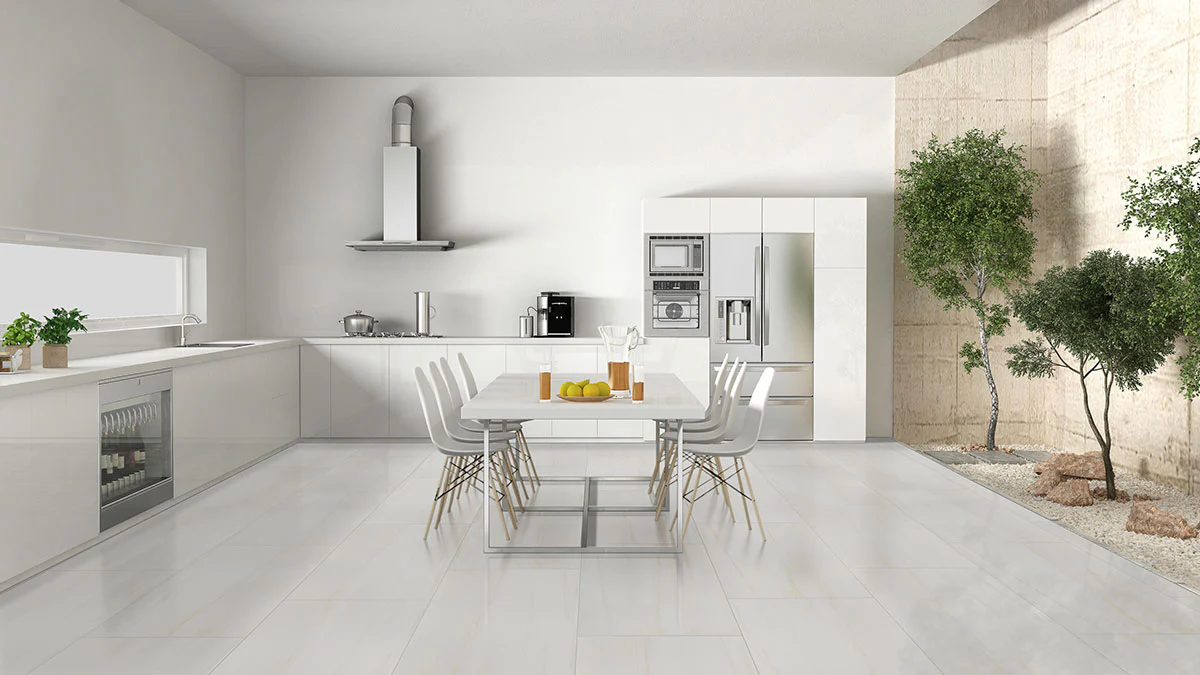 Eden Porcelain Field Tile 24X48 Dolomite Polished - Image 2