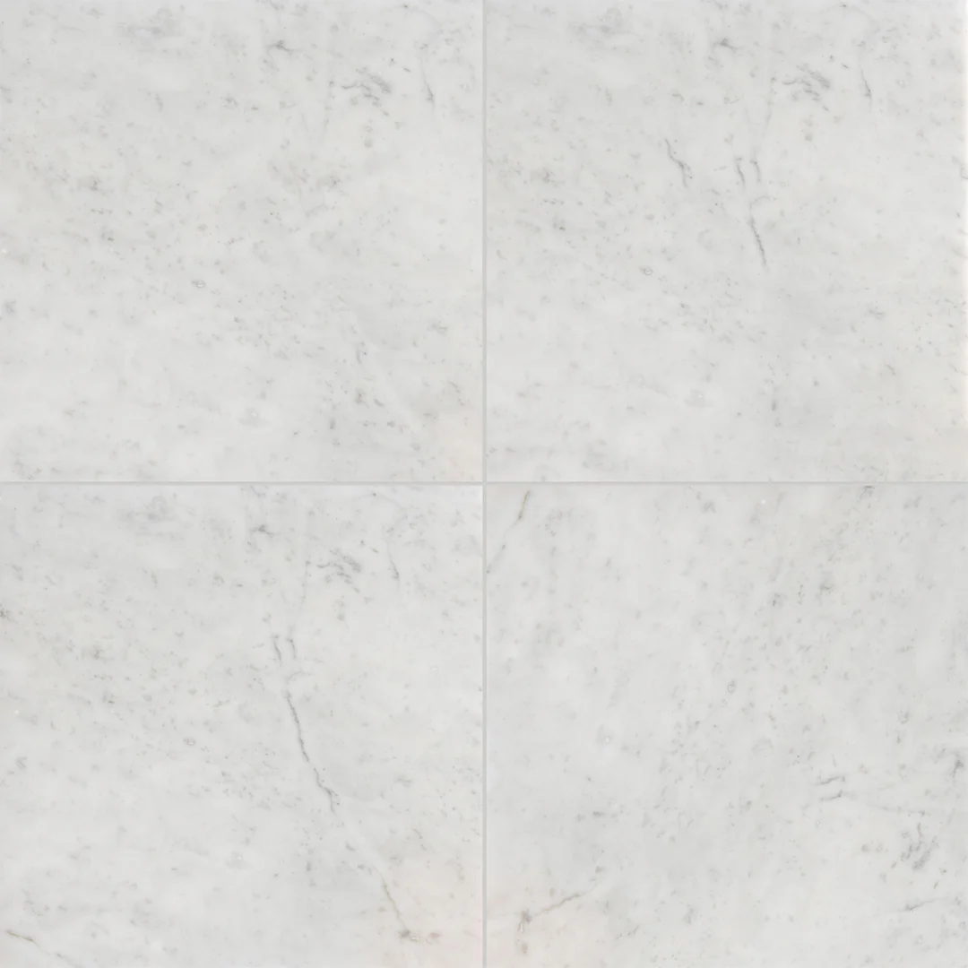 Ellington 12X12 Carrara Honed