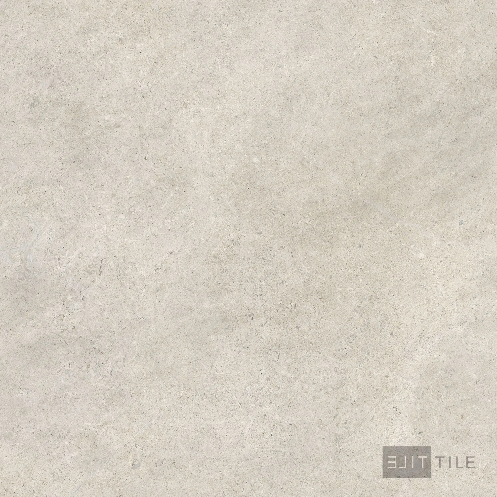 Epika Porcelain Large Format Field Tile 48X48 Shell Matte