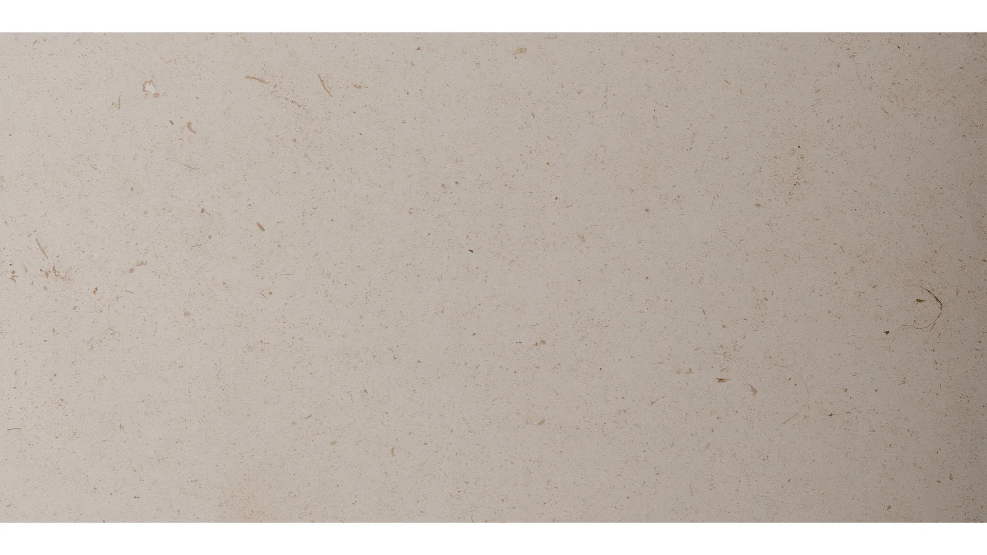 Limestone 12X24 Porto White Honed