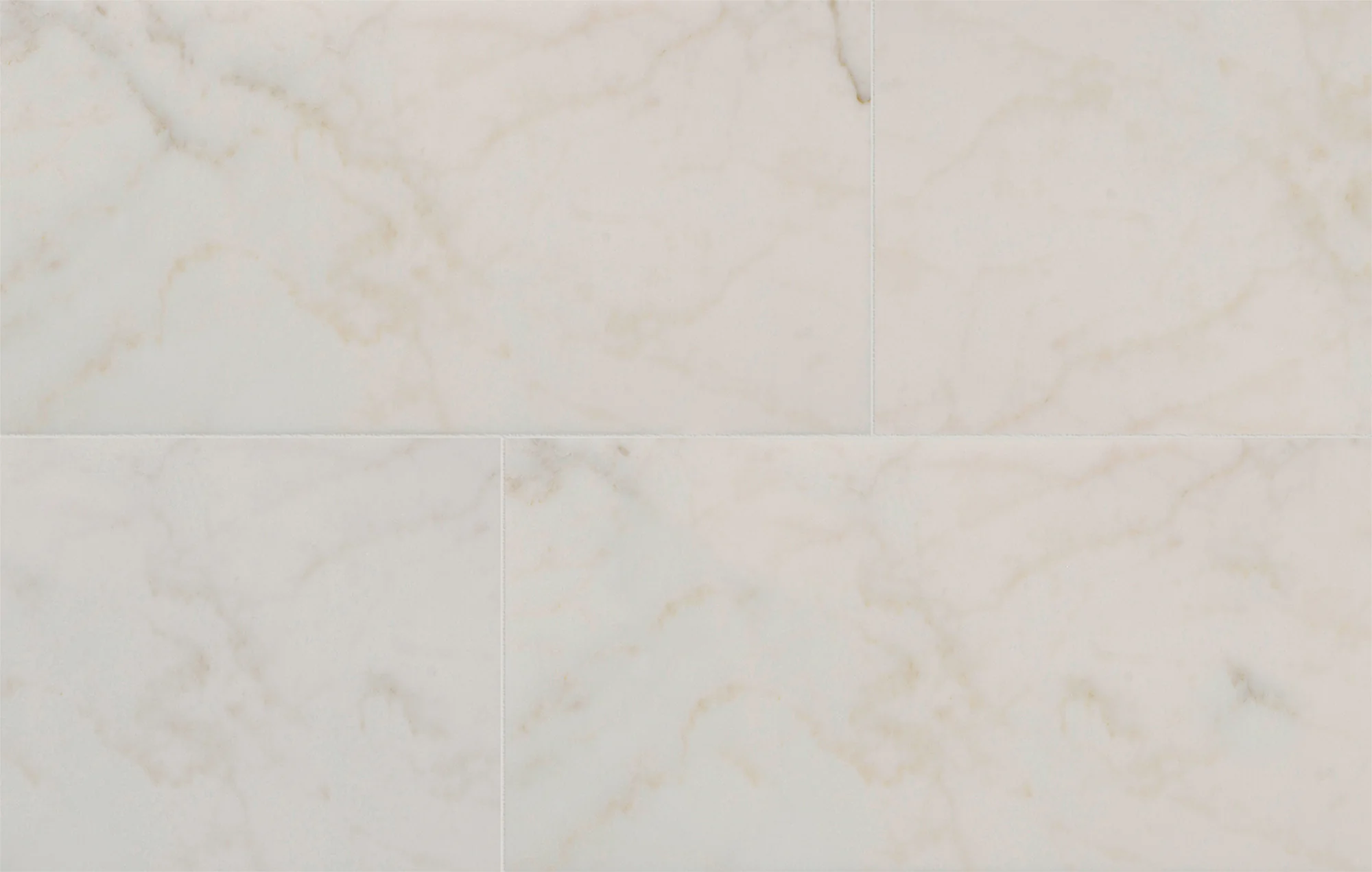 Marble 12X24 Calacatta Michelangelo Honed