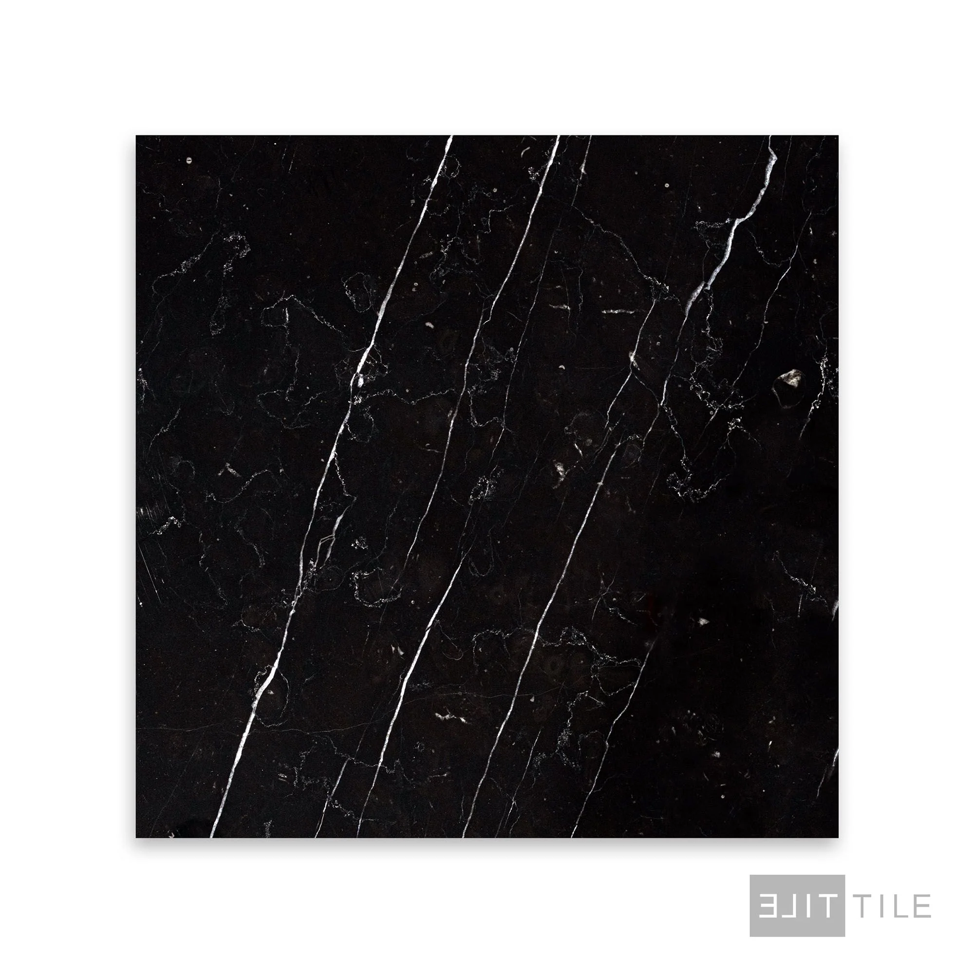 Negro Marquina Marble 12X12 Honed - Image 2