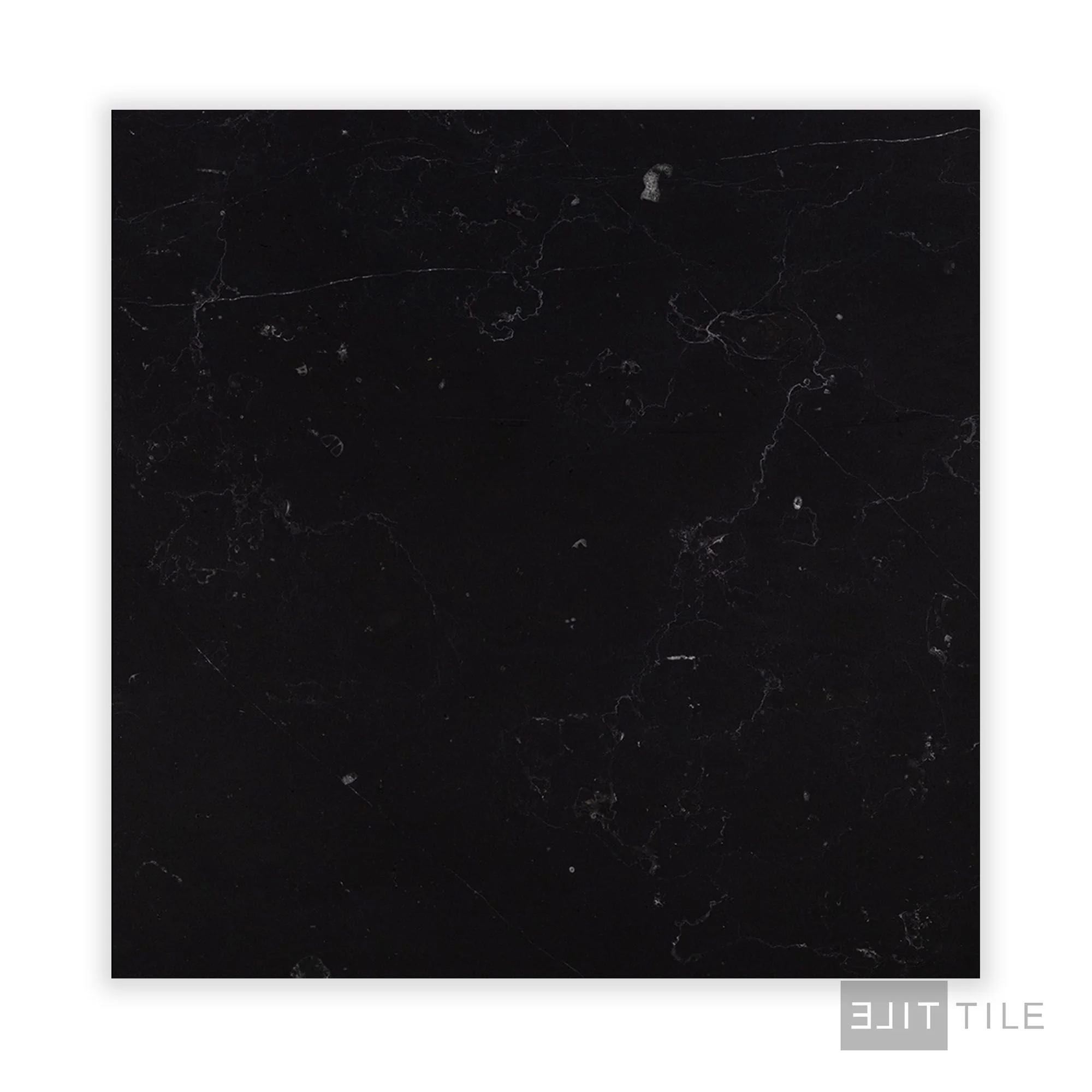 Negro Marquina Marble 24X24 Honed - Image 2
