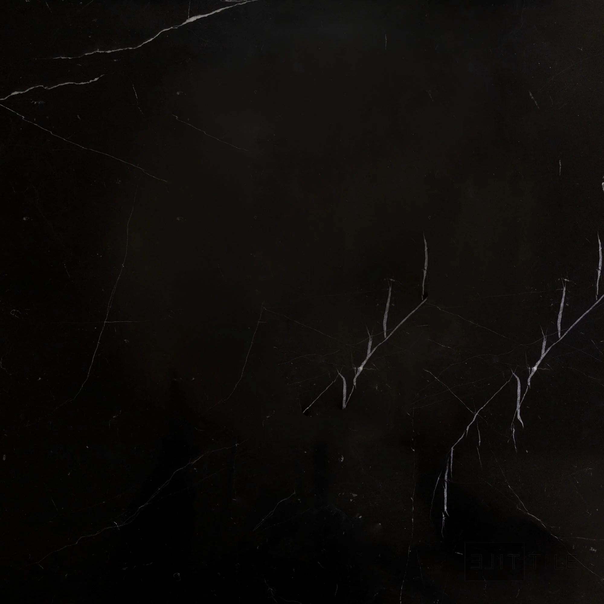 Negro Marquina Marble 24X24 Polished