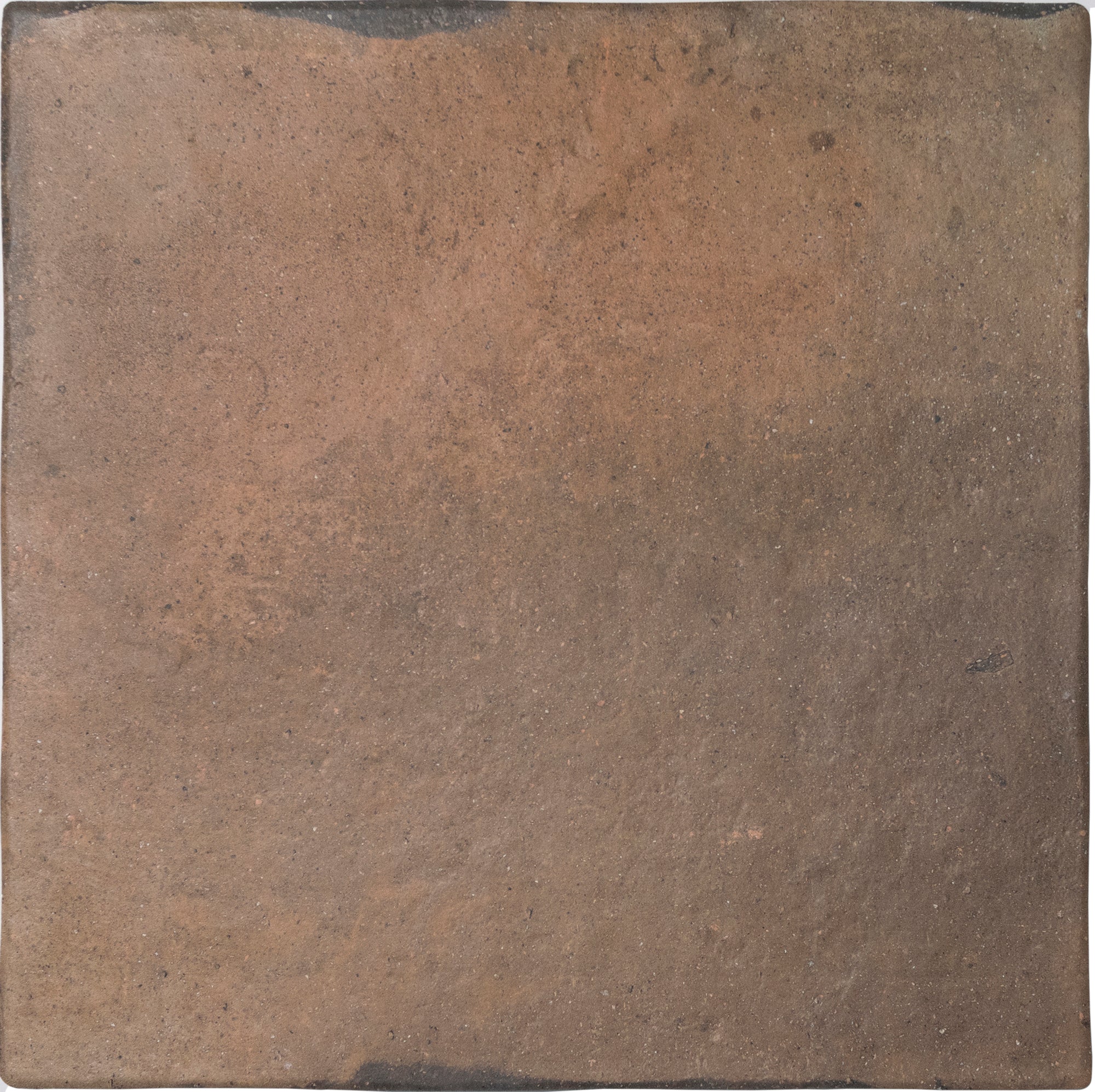 Roots Matte 17.2X17.2 Rust