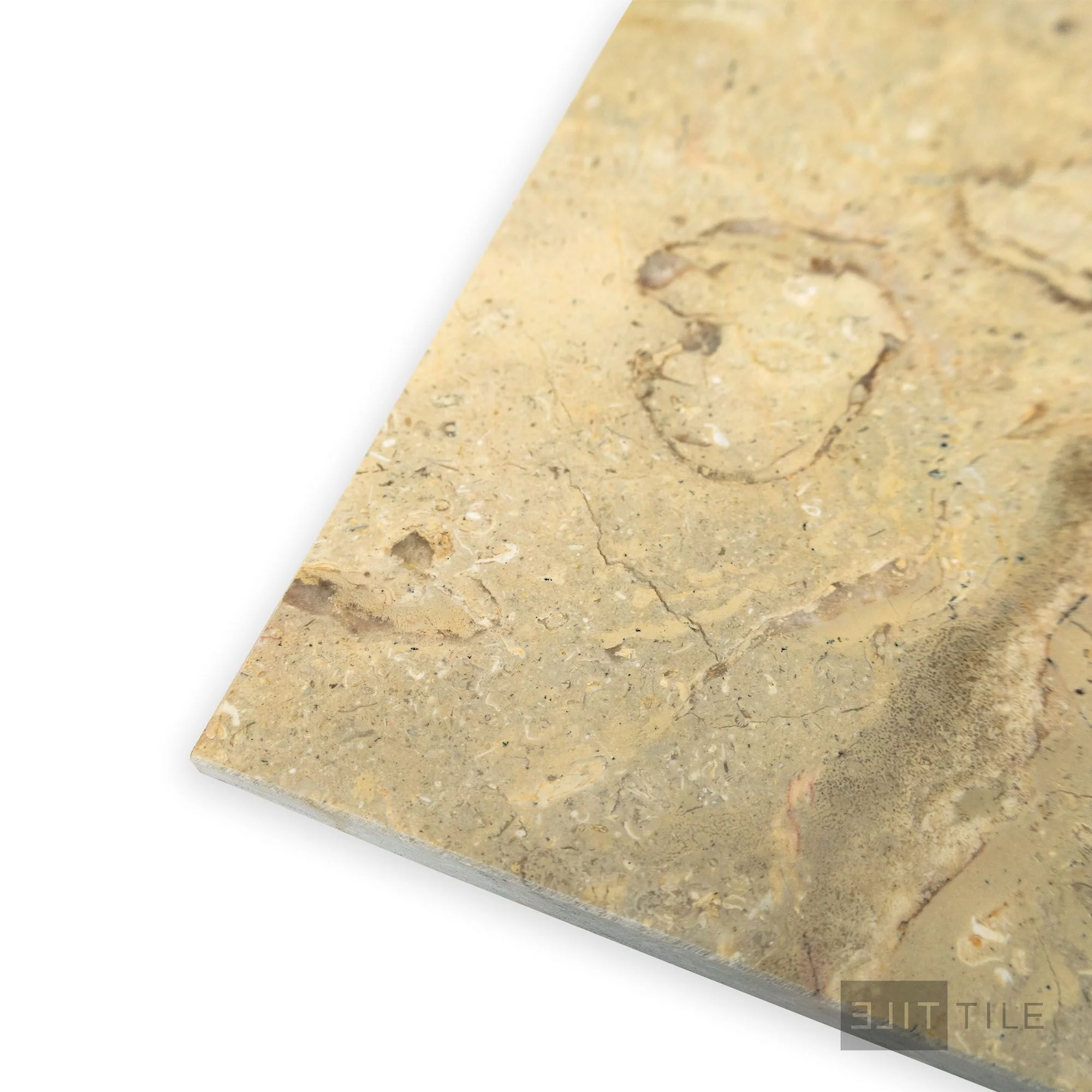 Sahara Gold Marble 12X12 Honed - Image 4