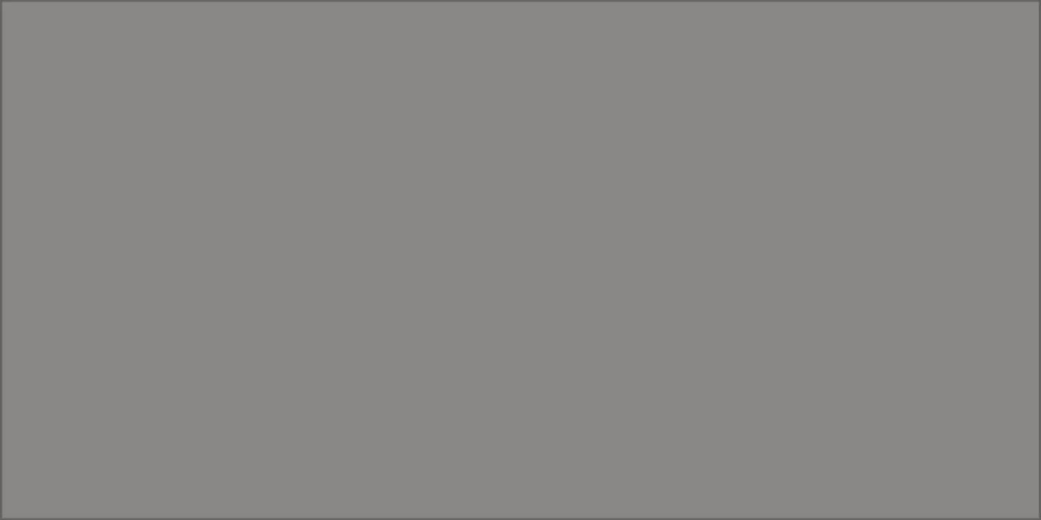 Solid Matte 2.5X5 Ash