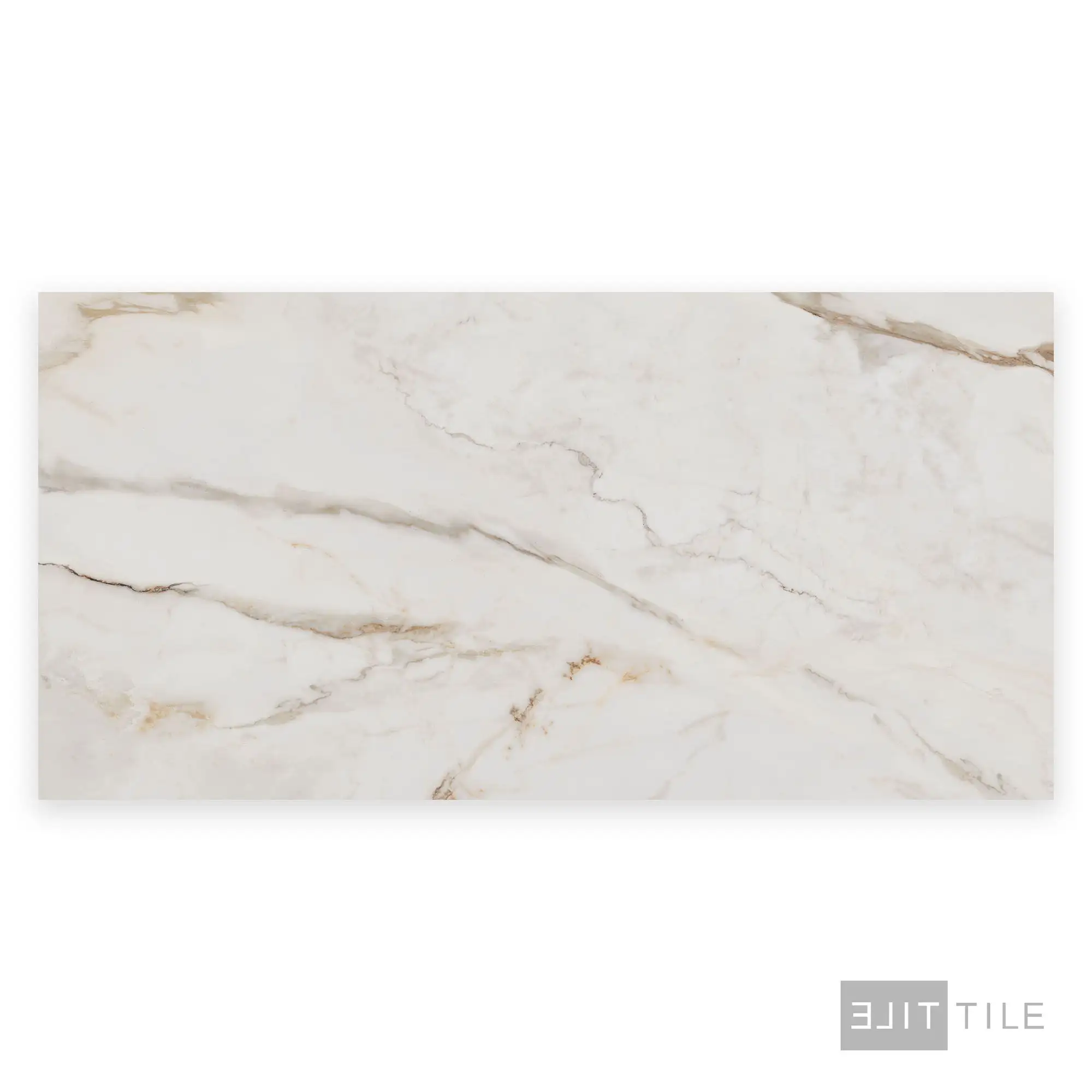 Supreme Evo Porcelain Large Format Field Tile 24X48 Antique White Polished - Image 3