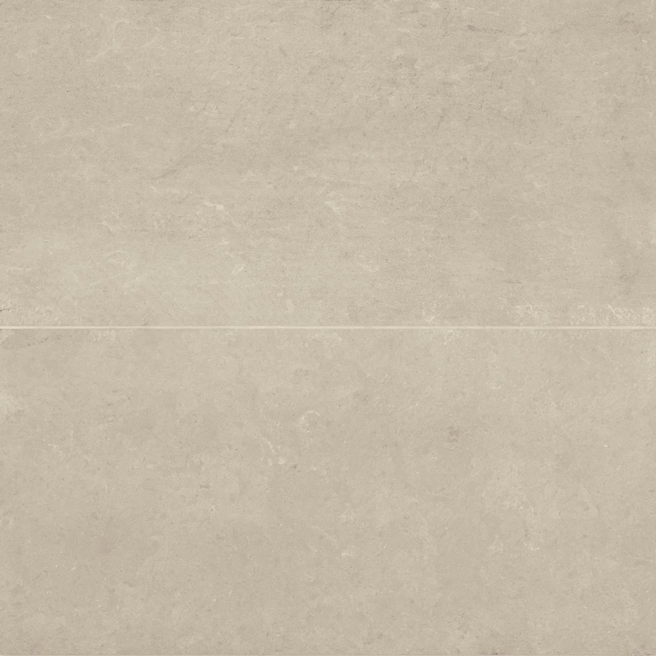 Thaddeus Matte 24X48 Almond
