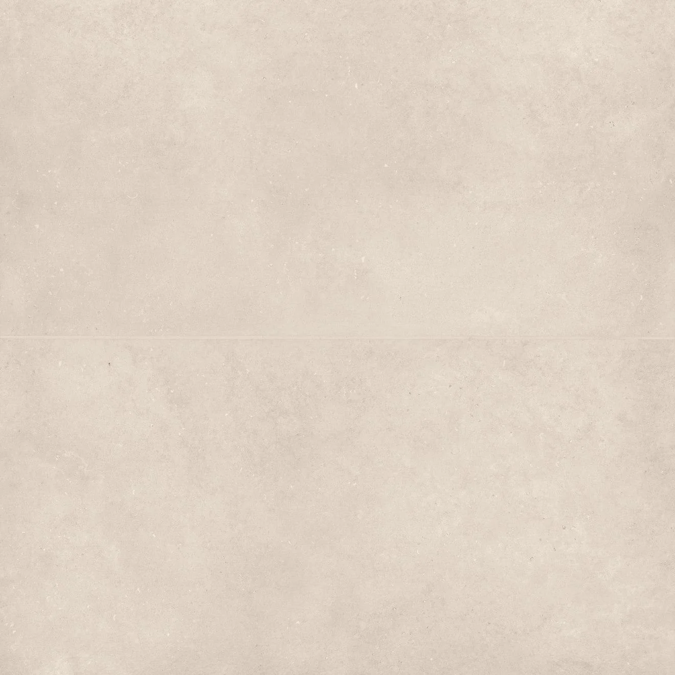 Thaddeus Matte 24X48 Crème R11