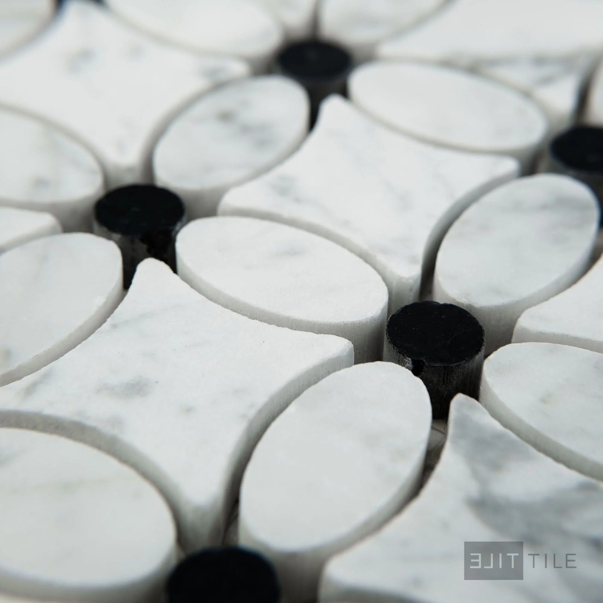 White Carrara Marble Flower Mosaic W/ Negro Marquina Honed - Image 3